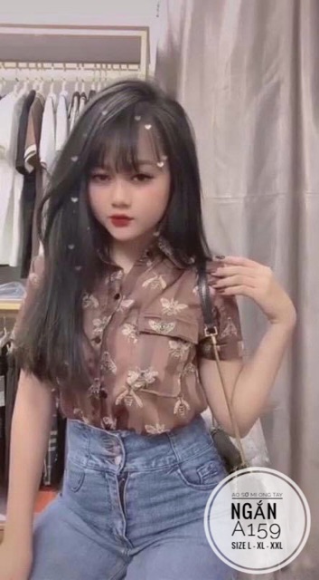 Bigsize Áo sơ mi ong tay ngắn A159