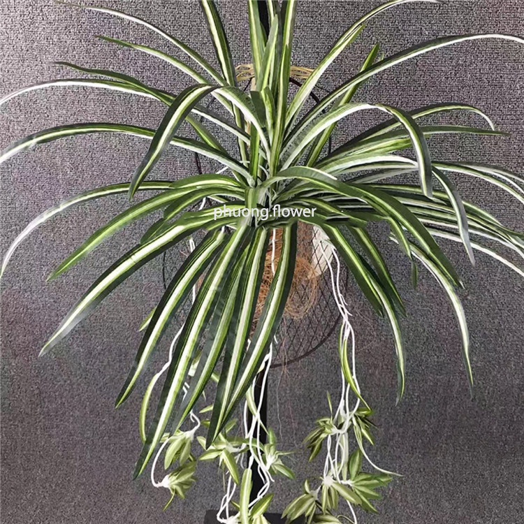 Chùm Cây cỏ Lan Chi giả cỏ nhện rủ loại dài 60cm 5 nhánh lá 3 dây hoa trang trí giỏ treo tường cỏ decor ban công rất đẹp