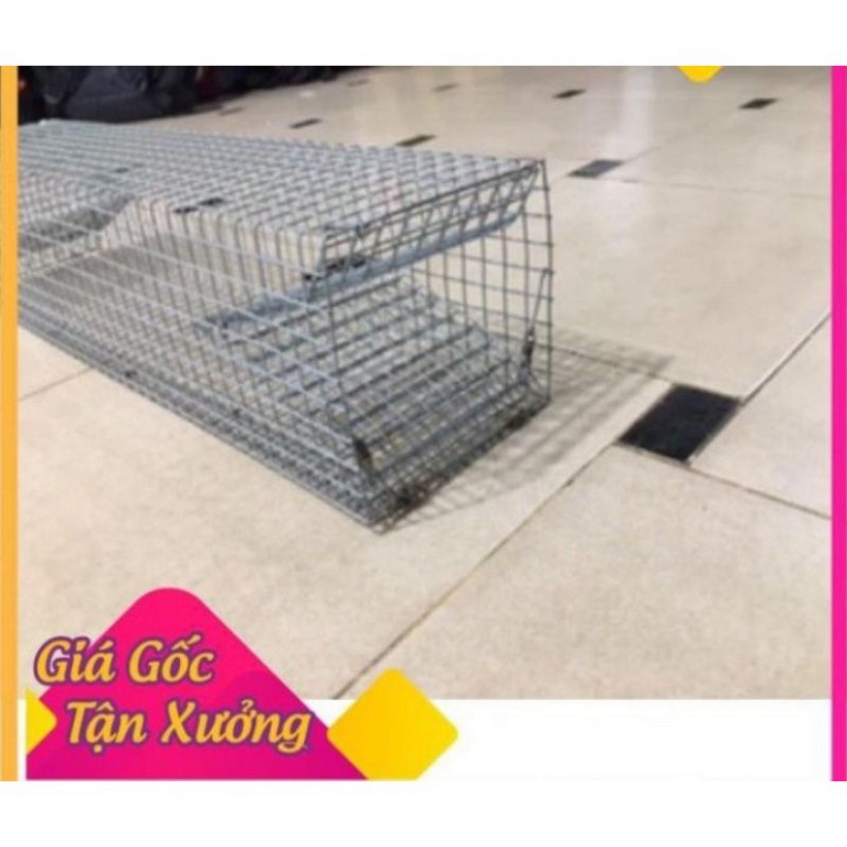 Lồng bẫy rắn giá rẻ 🐍🐍