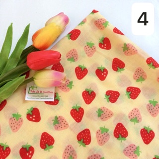 VẢI THÔ KATE 🍓V168
