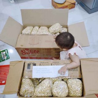 Hạt điều bể bình phước
