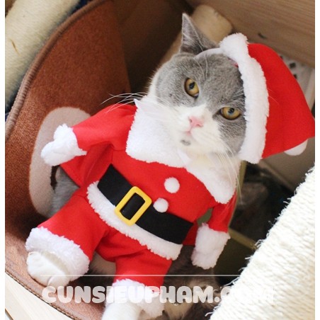 ÁO COSPLAY ÔNG GIÀ NOEL CHO CHÓ MÈO