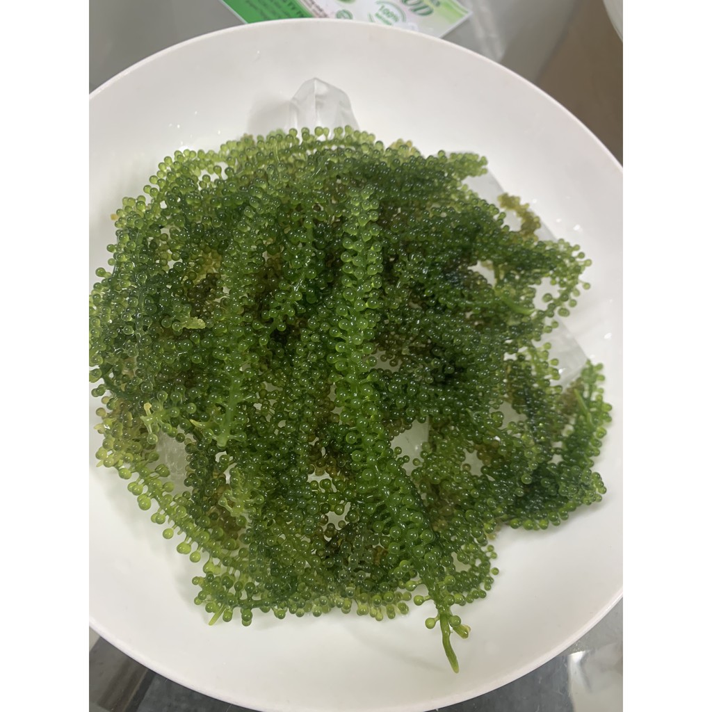 Rong nho tách nước Green Food Organic cao cấp  Mua 5 gói rong nho tặng Qùa Cột tóc dễ thương