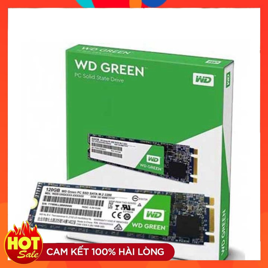 Ổ cứng SSD Western Green 240GB 120GB M2 SATA 2280