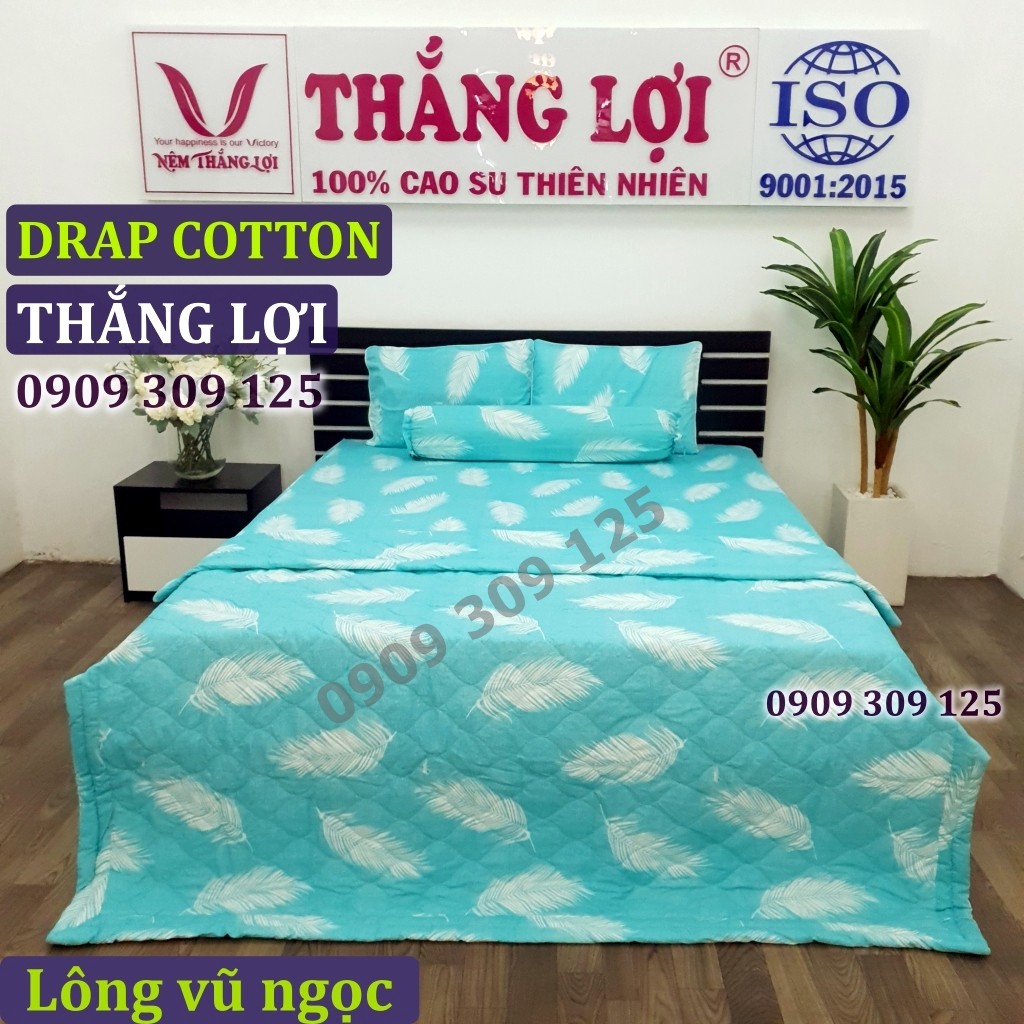 Drap Cotton 100% Thắng Lợi chính hãng IN LOGO THẮNG LỢI | BigBuy360 - bigbuy360.vn
