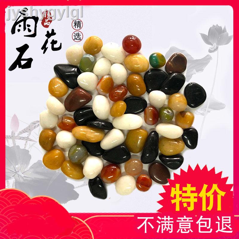9.24✁Đá cuội tự nhiên trang trí bể cá
