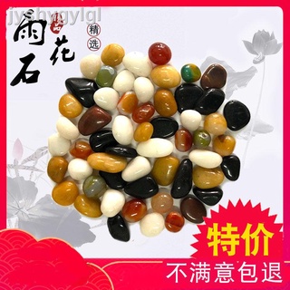 9.24✁Đá cuội tự nhiên trang trí bể cá