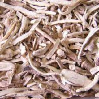 mẫu đan bì ( đơn bì)