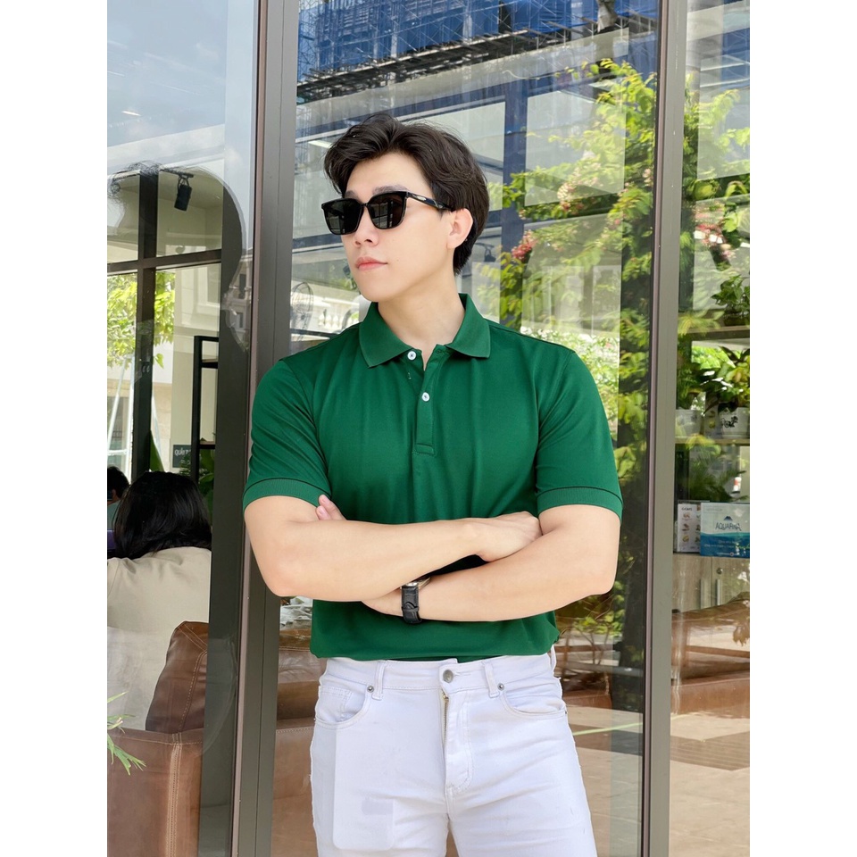 Áo polo nam BEMAN-PL6,cổ bẻ ngắn tay cao cấp,vải thun cá sấu co giãn,mặc thoải mái,năng động,lịch sự
