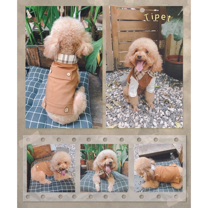 Áo khoác gile kaki nâu phối kẻ chó mèo