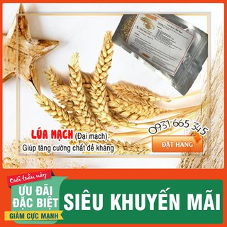 Combo 2Kg Đại Mạch (lúa mạch) Nguyên Hạt hàng CTy