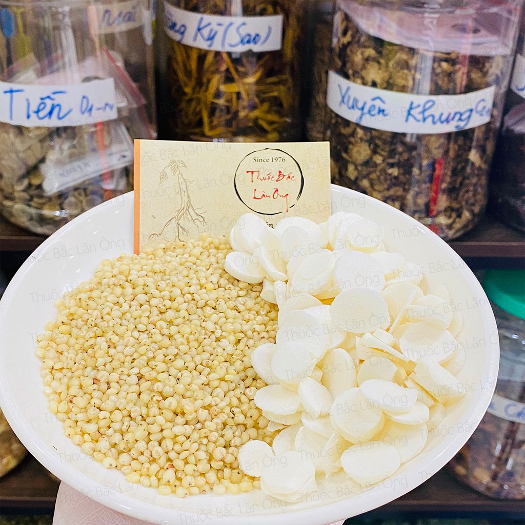 Y Dĩ - Thông Thảo Lợi Sữa Sau Sinh