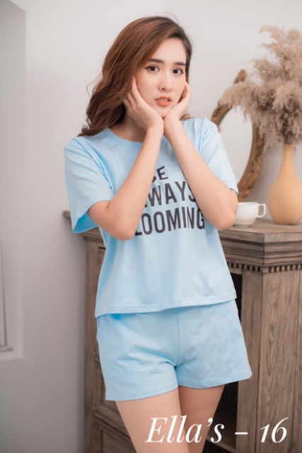[Khuyến Mãi Sốc] Đồ Mặc Nhà - Cotton 100%- Mua 2 Tặng 1 | BigBuy360 - bigbuy360.vn