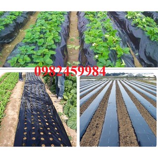 Màng phủ nông nghiệp 0,9x400x15mic nặng 5.8kg Xuất xứ tại Việt Nam