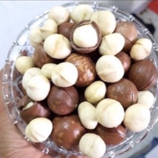 500G Hạt macca Daklak to ngon