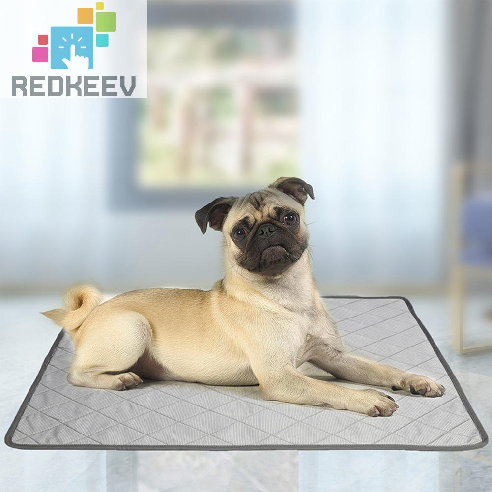 Tã Lót Thấm Hút Tốt Có Thể Giặt Sạch Tiện Dụng Cho Thú Cưng