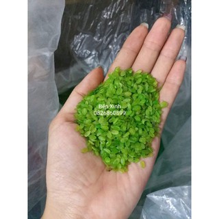 CỐM KHÔ 200G