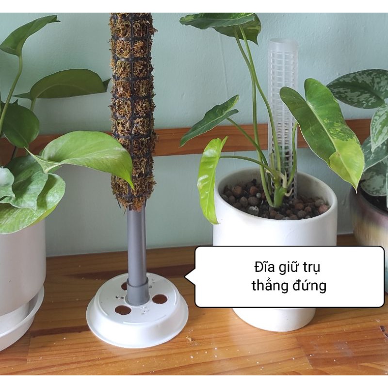 Trụ trồng cây 50cm   lưới nhựa nhập khẩu, kích thước lỗ lưới to 2x2cm, chân trụ 20cm