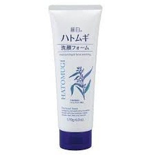Sữa rửa mặt Hatomugi 170g BIG SIZE