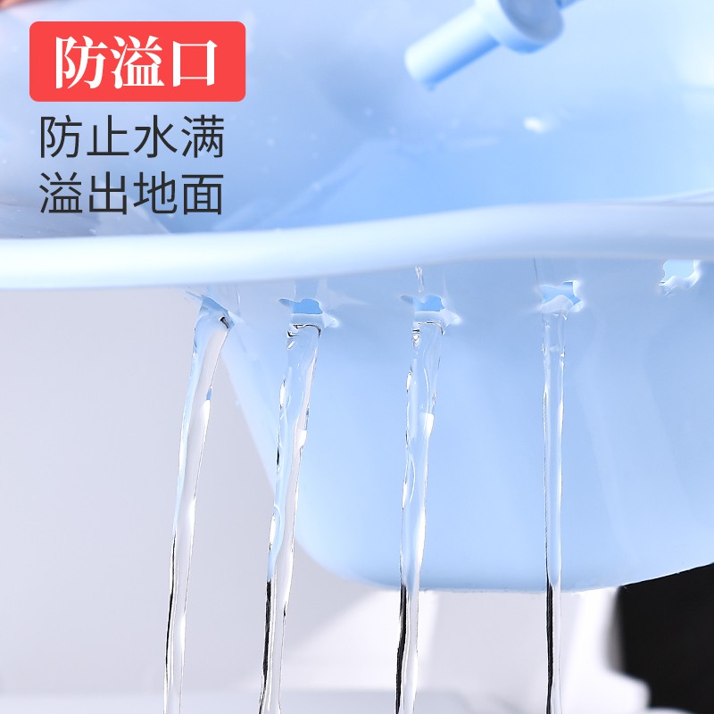 Chậu Đi Vệ Sinh Tiện Dụng Dành Cho Phụ Nữ Mang Thai | BigBuy360 - bigbuy360.vn