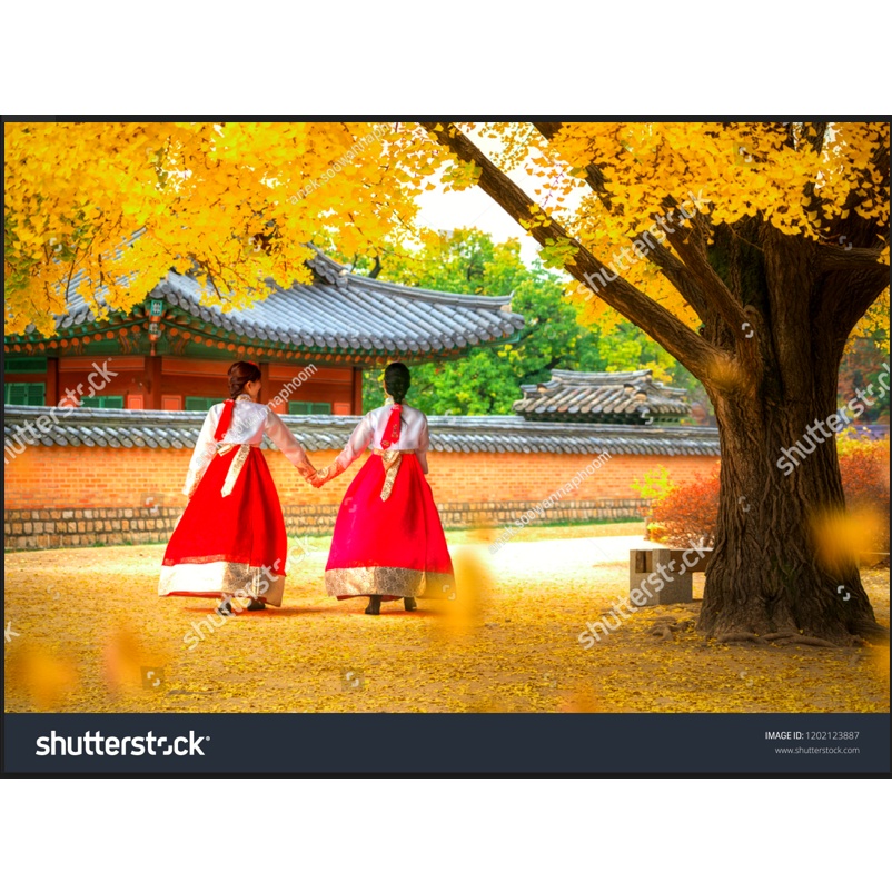 Tranh dán tường Trang Trí Cửa Hàng cao cấp đường phố Hàn Quốc - Korea chống nước, không phai