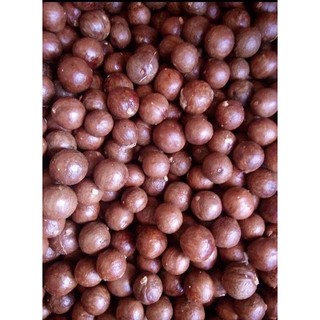 [FREE SHIP] HẠT MACCA LÂM ĐỒNG NỨT VỎ TỰ NHIÊN ( tặng kèm khui)