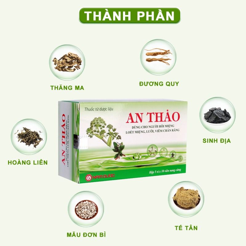 Viên uống thảo dược AN THẢO hộp 50 viên hỗ trợ giảm hôi nhiệt miệng