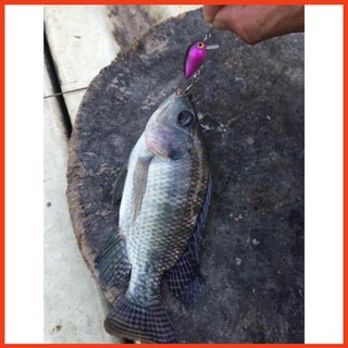 Mồi giả ruồi nhỏ chuyên câu cá rô cá lóc cá chuối  cá thiểu  cá chim đồ câu cá ( giá siêu khuyến mại )