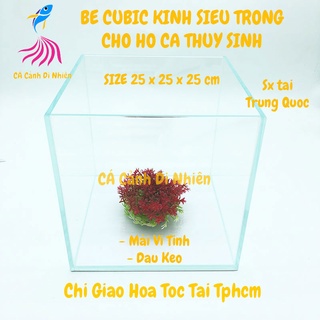 Bể cubic 25x25x25 cm kính siêu trong - Hô nuôi cá thủy sinh
