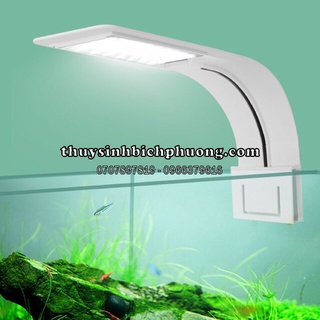 Đèn led kẹp siêu sáng x5 10w - xử dụng cho hồ mini để bàn