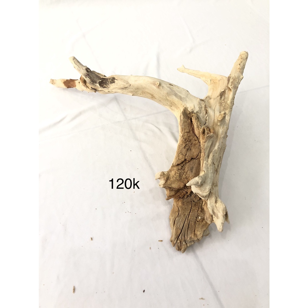 Lũa trang trí chuồng bò sát, hồ thuỷ sinh