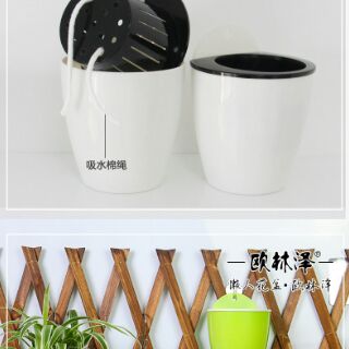chậu cây móc treo