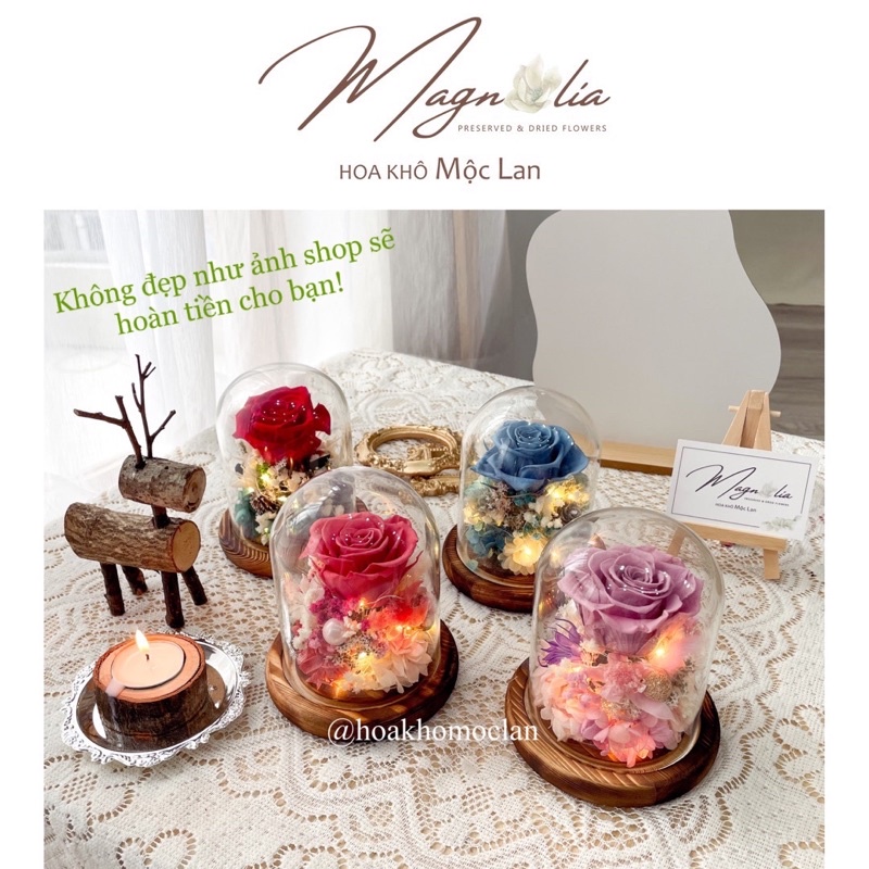 Lồng chụp quả cầu thuỷ tinh hoa khô trang trí Giáng Sinh, cây thông Noel decor phòng ngủ vintage cao cấp