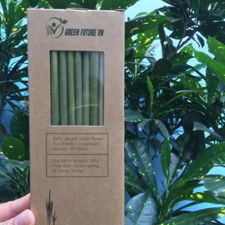 Hộp ống hút cỏ bàng khô- cty green future