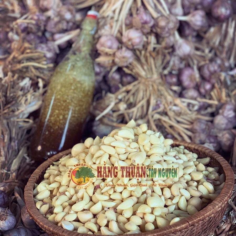 TỎI TÍM NGÂM MẬT ONG RỪNG