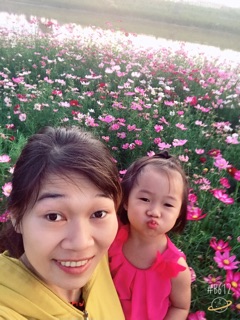 hạt giống hoa cánh bướm