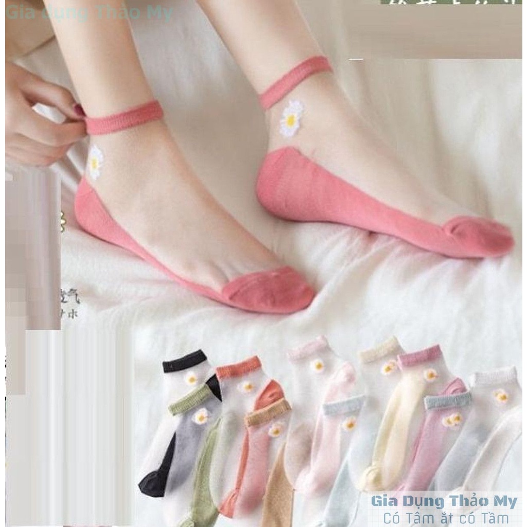 Tất Lưới Ren Hoa Cúc Thoáng Mát Dễ Thương Hot Trend -Set 10 đôi
