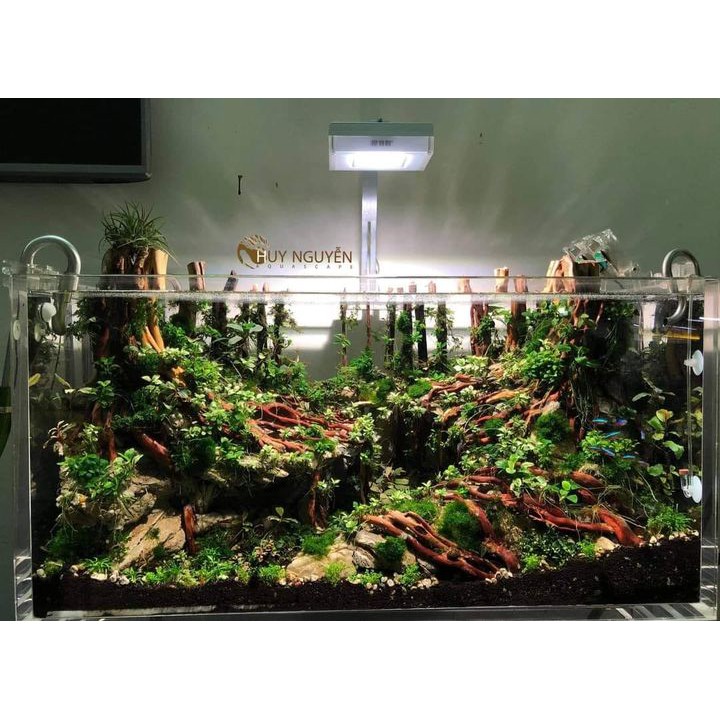 Hồ chữ nhật  Acrylic siêu trong nhiều kích thước  SUỐI NHỎ  | bể chữ nhật làm hồ cá , thuỷ sinh, tiểu cảnh