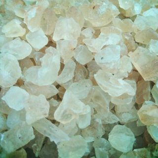 bịch 250gr - 500gr mũ Trôm sạch ninh thuận tặng hạt é