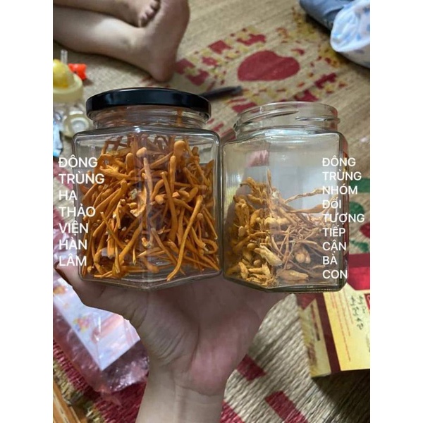 Đông trùng hạ thảo - Viện Hàn lâm KHCNVN