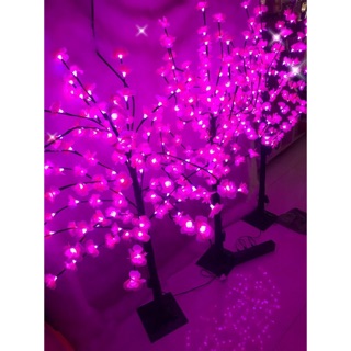 Cây hoa mai đào đèn led 1m2