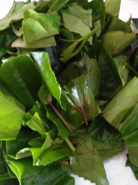 Lá chè xanh tươi, trà sạch, trà tự nhiên. 1kg