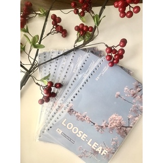 SAMPLE/ GIẤY REFILL CHO BINDER SIZE A5, B5 (Gooome, Gambol, Campus, Maruman)