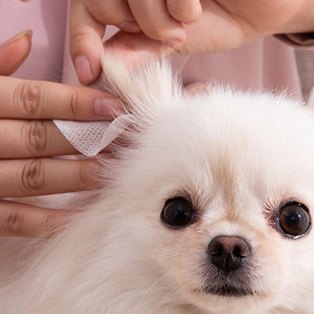 Set 130 Khăn Giấy Mềm Vệ Sinh Tai Cho Thú Cưng