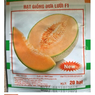 HẠT GIỐNG DƯA LƯỚI F1