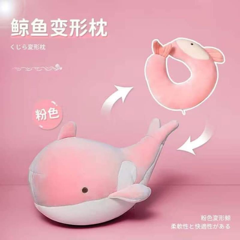 Cá heo bông bông Trẻ8