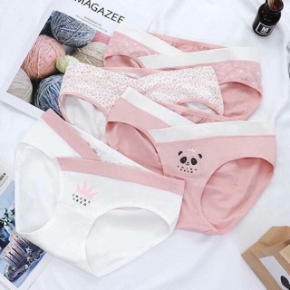 Set 4 quần lót cotton bầu