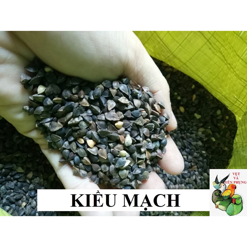 1kg hạt Ba Khía(Kiều Mạch) cho chim, vẹt và thú cưng