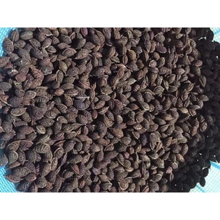 Hạt Đào Thất Thốn Bích Kép.