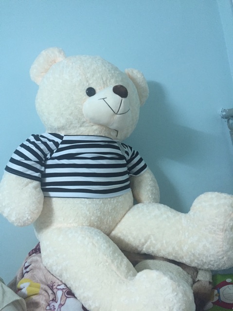 Gấu bông teddy trắng kem siêu mịn khổ 1m6